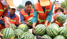 郯城吃瓜最新事件爆料新闻,最新爆料揭示惊人真相